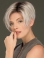 6" Cropped Affordable Lace Front Straight Grey Wigs