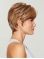 Cropped Brown With Bangs Okay Google Synthetic Wigs