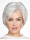 Chin Length Monofilament Grey Straight 10" Synthetic Beautiful Medium Wigs