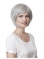 Fashionable Straight Chin Length Synthetic Grey Wigs