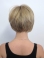 Online Blonde Straight Chin Length Synthetic Wigs
