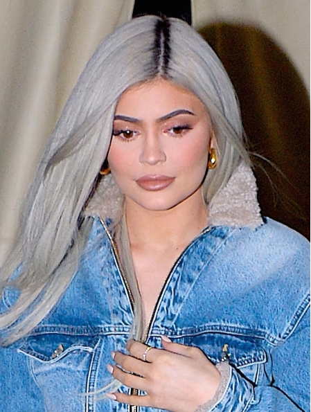 18'' Long Straight Without Bangs Synthetic Grey Capless Women Kylie Jenner Wigs