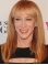 16" Straight Capless Long Synthetic Women Kathy Griffin Wigs