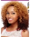 Amazing 14 Inch long Curly Style Lace Front 100% Remy Hair Ombre Wigs