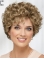 Fascinating Fluffy Short Curly Blonde Synthetic Hair monofilamen Wigs 10 Inches
