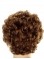 Fascinating Fluffy Short Curly Brown Classic Heat Friendly Synthetic Wigs
