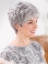 8" Short Straight Fashion Lace Front Grey Wigs