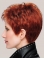 Fabulous Monofilament Synthetic Straight 8" Short Wigs