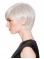 Capless Straight Grey Short Synthetic Wigs