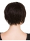 6" Black Straight Short Stylish Synthetic Lace Wigs