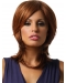 Synthetic Straight Shoulder Length Layered Lace Front Style Wigs